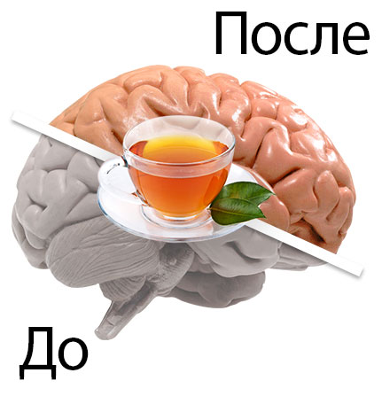 Монастырский чай Супер память