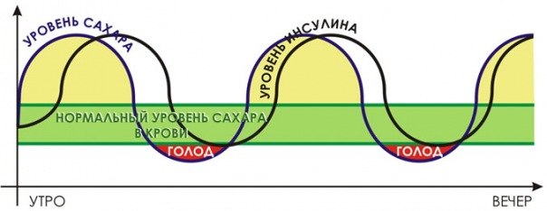 Выброс инсулина
